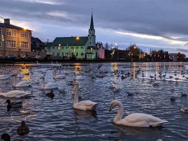Lago Tjörnin
